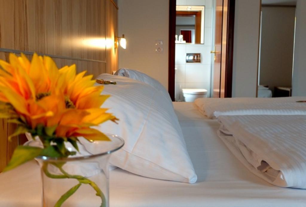 Hotel Am Schelztor 에즐링겐 객실 사진
